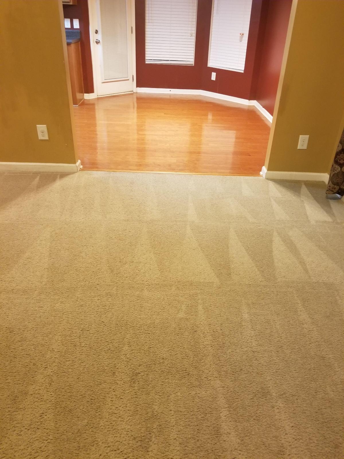 Carpet Cleaning Services in Cary and Morrisville